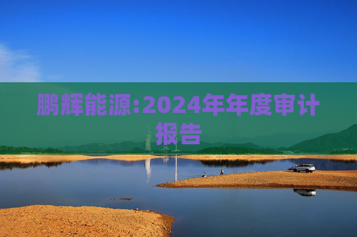 鹏辉能源:2024年年度审计报告