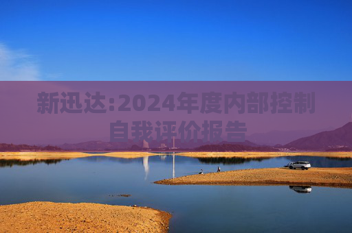 新迅达:2024年度内部控制自我评价报告  第1张