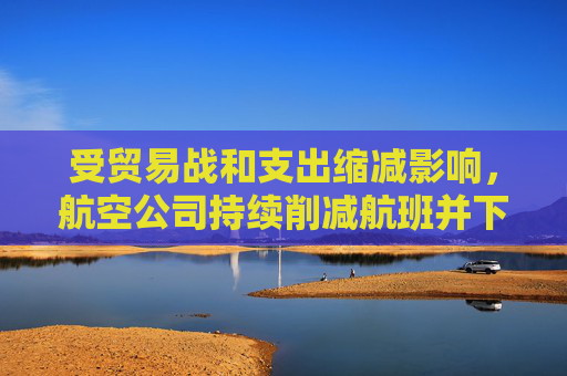 受贸易战和支出缩减影响，航空公司持续削减航班并下调盈利预期  第1张