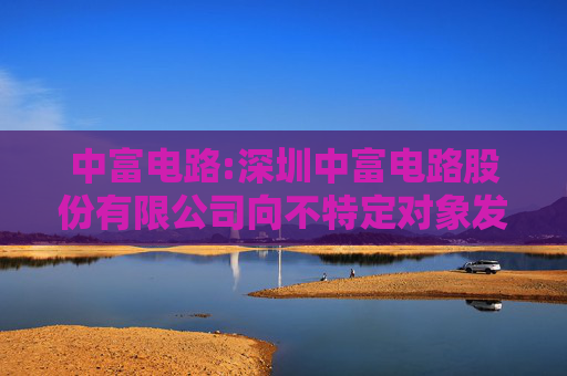 中富电路:深圳中富电路股份有限公司向不特定对象发行可转换公司债券受托管理事务报告（2024年度）