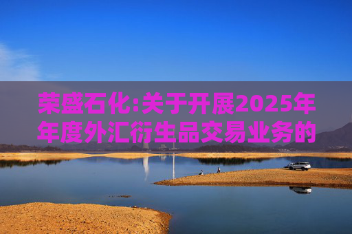荣盛石化:关于开展2025年年度外汇衍生品交易业务的公告  第1张
