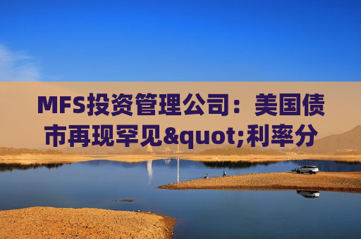 MFS投资管理公司：美国债市再现罕见"利率分化"现象