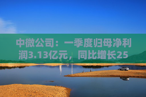 中微公司：一季度归母净利润3.13亿元，同比增长25.67%  第1张
