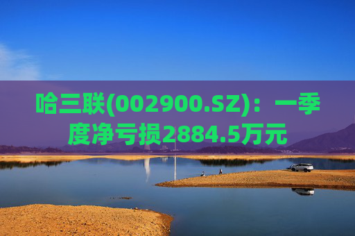 哈三联(002900.SZ)：一季度净亏损2884.5万元