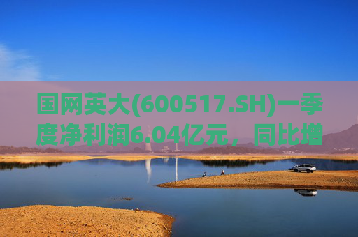 国网英大(600517.SH)一季度净利润6.04亿元，同比增长45.22%