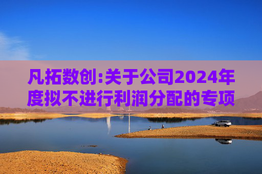 凡拓数创:关于公司2024年度拟不进行利润分配的专项说明
