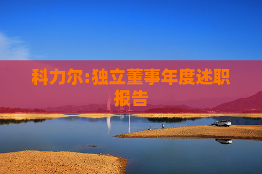 科力尔:独立董事年度述职报告  第1张