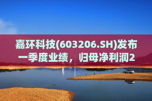 嘉环科技(603206.SH)发布一季度业绩，归母净利润2021.72万元，同比下降21.02%