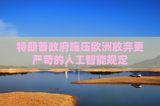 特朗普政府施压欧洲放弃更严苛的人工智能规定  第1张