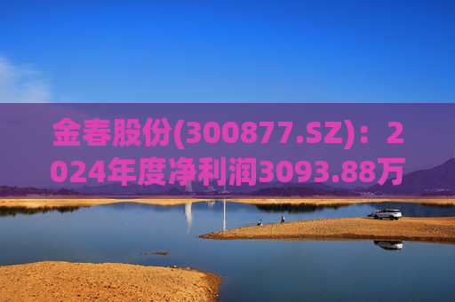 金春股份(300877.SZ)：2024年度净利润3093.88万元 拟10派1元