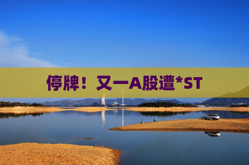 停牌！又一A股遭*ST  第1张