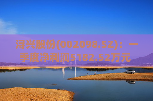 浔兴股份(002098.SZ)：一季度净利润5182.52万元 同比增加41.52%  第1张