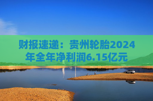 财报速递：贵州轮胎2024年全年净利润6.15亿元