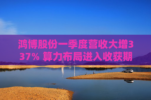 鸿博股份一季度营收大增337% 算力布局进入收获期  第1张