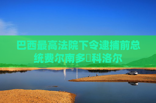 巴西最高法院下令逮捕前总统费尔南多・科洛尔  第1张
