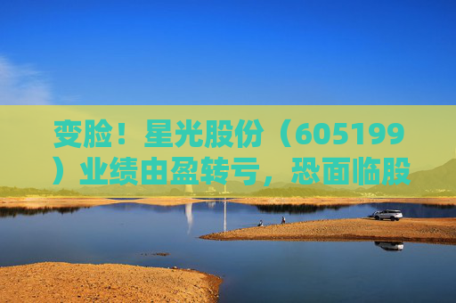 变脸！星光股份（605199）业绩由盈转亏，恐面临股民索赔  第1张