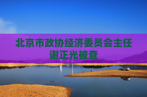 北京市政协经济委员会主任谢正光被查