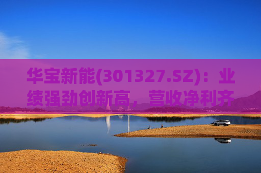 华宝新能(301327.SZ)：业绩强劲创新高，营收净利齐突破  第1张