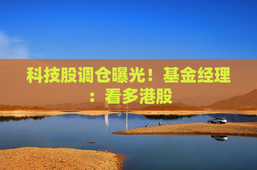 科技股调仓曝光！基金经理：看多港股