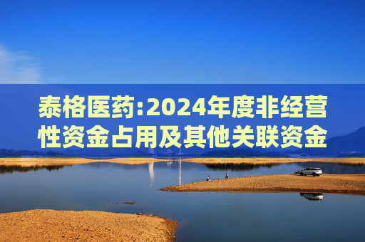 泰格医药:2024年度非经营性资金占用及其他关联资金往来情况的专项报告