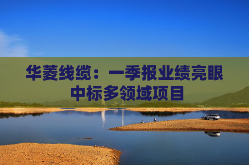 华菱线缆：一季报业绩亮眼 中标多领域项目