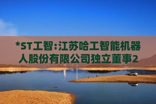 *ST工智:江苏哈工智能机器人股份有限公司独立董事2024年度述职报告（刘世青已离职）