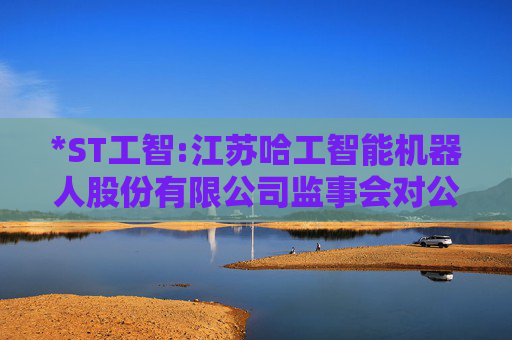 *ST工智:江苏哈工智能机器人股份有限公司监事会对公司2024年度内部控制评价报告的意见