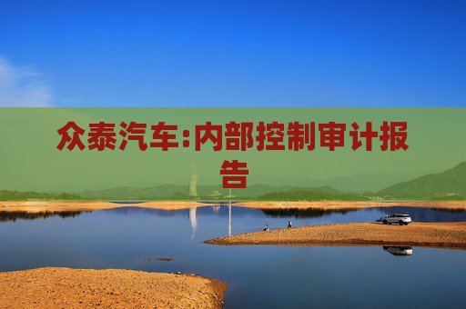 众泰汽车:内部控制审计报告