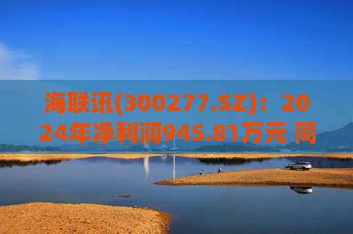 海联讯(300277.SZ)：2024年净利润945.81万元 同比下降12.5%  第1张