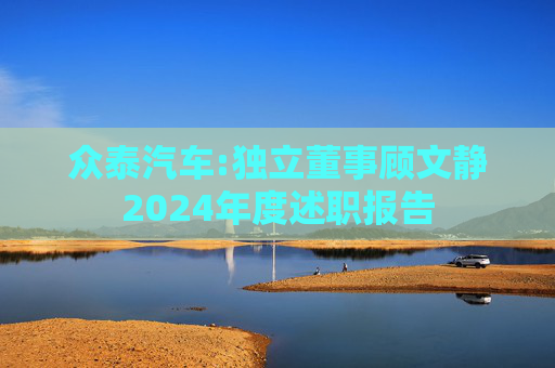 众泰汽车:独立董事顾文静2024年度述职报告
