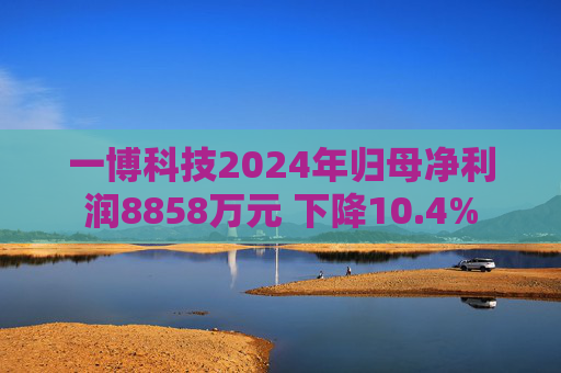 一博科技2024年归母净利润8858万元 下降10.4%