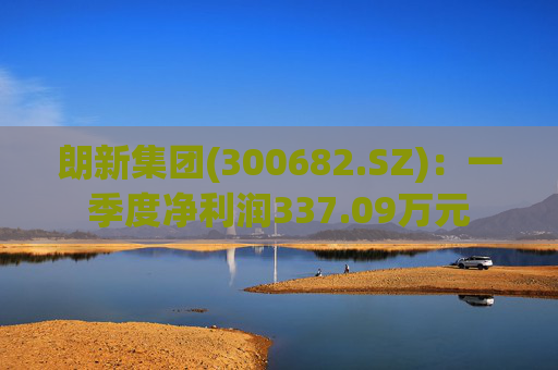 朗新集团(300682.SZ)：一季度净利润337.09万元
