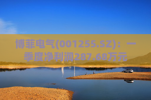 博菲电气(001255.SZ)：一季度净利润287.68万元
