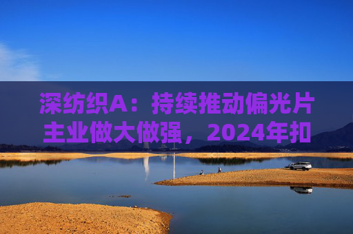 深纺织A：持续推动偏光片主业做大做强，2024年扣非归母净利润增长23.58%  第1张