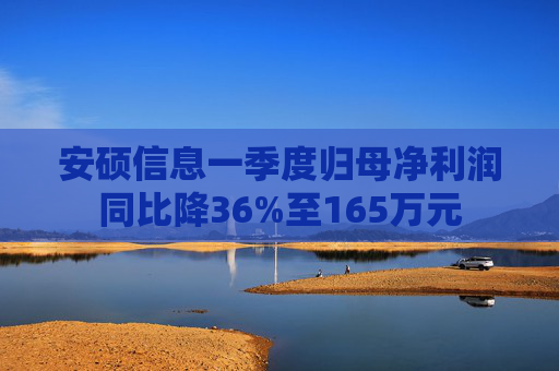 安硕信息一季度归母净利润同比降36%至165万元