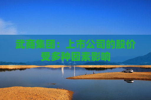 武商集团：上市公司的股价受多种因素影响