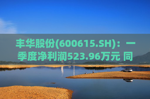 丰华股份(600615.SH)：一季度净利润523.96万元 同比增长645.11%
