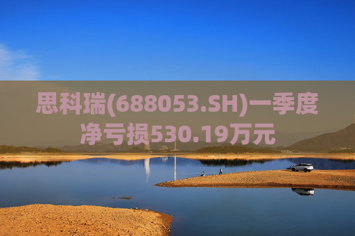 思科瑞(688053.SH)一季度净亏损530.19万元