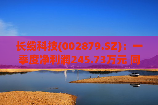 长缆科技(002879.SZ)：一季度净利润245.73万元 同比下降84.88%  第1张