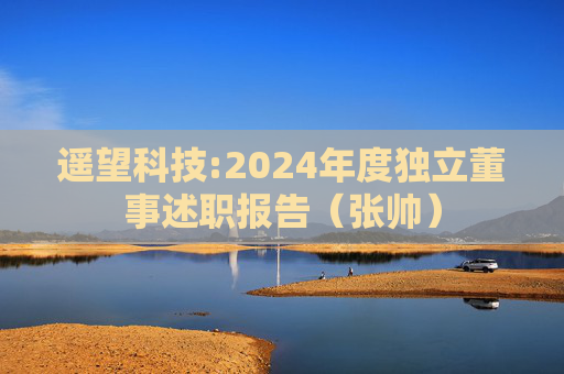 遥望科技:2024年度独立董事述职报告（张帅）