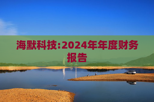 海默科技:2024年年度财务报告