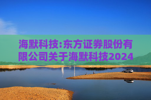 海默科技:东方证券股份有限公司关于海默科技2024年年度持续督导跟踪报告