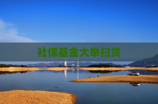 社保基金大举扫货  第1张