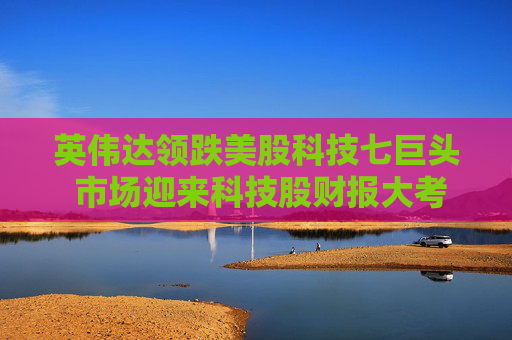 英伟达领跌美股科技七巨头 市场迎来科技股财报大考