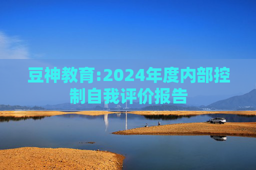 豆神教育:2024年度内部控制自我评价报告
