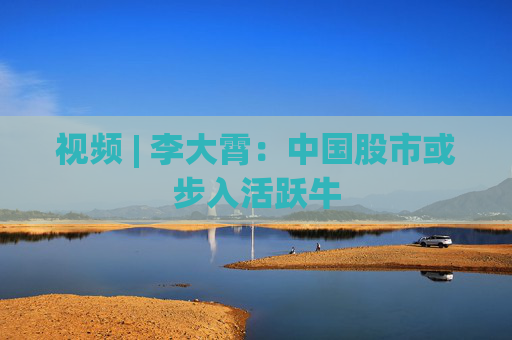视频 | 李大霄：中国股市或步入活跃牛  第1张