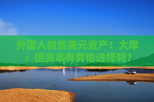 外国人抛售美元资产！大摩：但资本有其他选择吗？  第1张