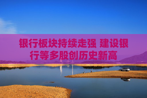 银行板块持续走强 建设银行等多股创历史新高