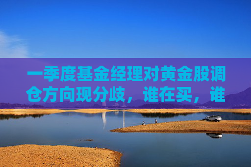 一季度基金经理对黄金股调仓方向现分歧，谁在买，谁在卖？