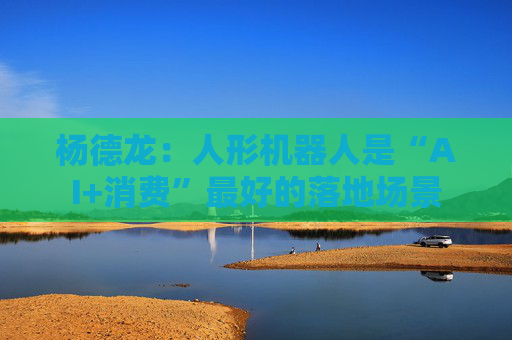 杨德龙：人形机器人是“AI+消费”最好的落地场景  第1张